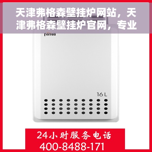 天津弗格森壁挂炉网站，天津弗格森壁挂炉官网，专业品质，温暖您的家