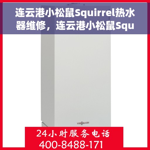 连云港小松鼠Squirrel热水器维修，连云港小松鼠Squirrel热水器维修服务详解