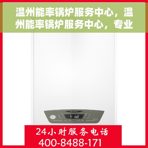 温州能率锅炉服务中心，温州能率锅炉服务中心，专业维护，高效运行的首选伙伴