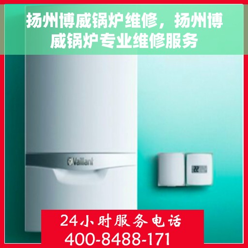 扬州博威锅炉维修，扬州博威锅炉专业维修服务