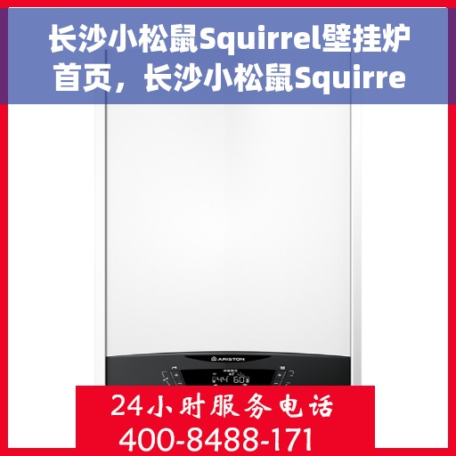 长沙小松鼠Squirrel壁挂炉首页，长沙小松鼠Squirrel壁挂炉，温馨家居的温暖之选首页