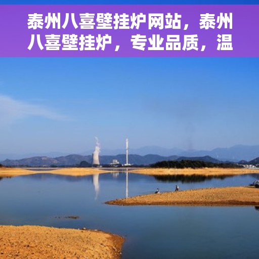 泰州八喜壁挂炉网站，泰州八喜壁挂炉，专业品质，温暖您家的首选