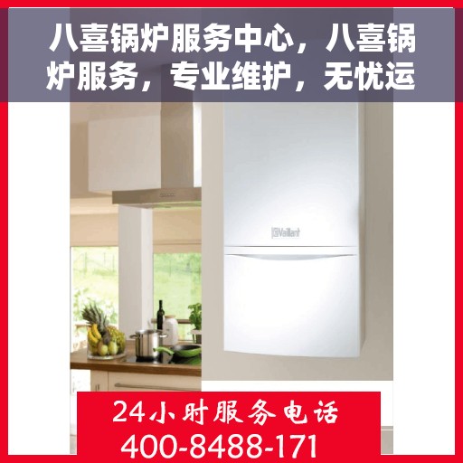 八喜锅炉服务中心，八喜锅炉服务，专业维护，无忧运行中心