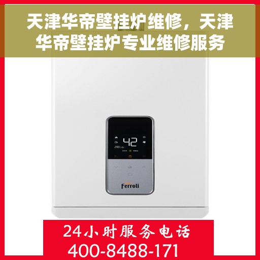 天津华帝壁挂炉维修，天津华帝壁挂炉专业维修服务