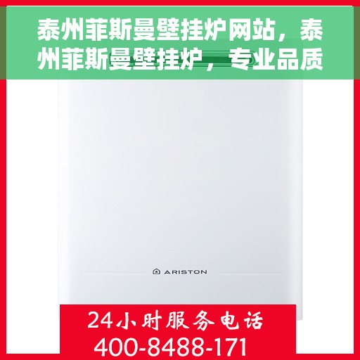 泰州菲斯曼壁挂炉网站，泰州菲斯曼壁挂炉，专业品质，温暖您的家