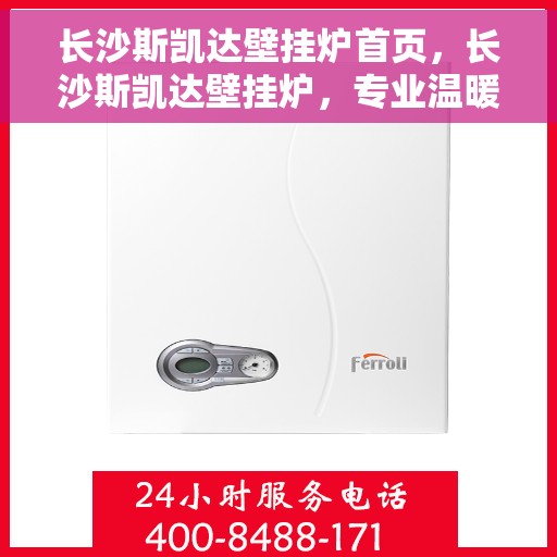 长沙斯凯达壁挂炉首页，长沙斯凯达壁挂炉，专业温暖解决方案首页