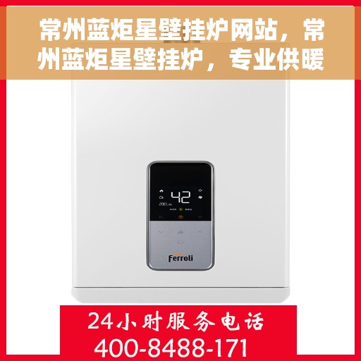常州蓝炬星壁挂炉网站，常州蓝炬星壁挂炉，专业供暖解决方案一站式网站