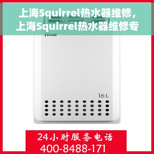 上海Squirrel热水器维修，上海Squirrel热水器维修专家，专业解决热水难题