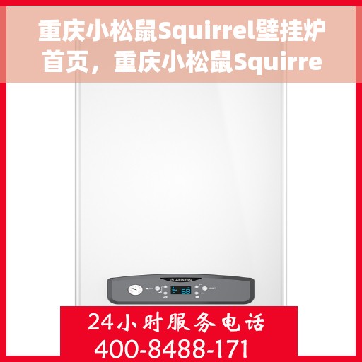 重庆小松鼠Squirrel壁挂炉首页，重庆小松鼠Squirrel壁挂炉，温暖首选的官方首页