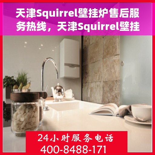 天津Squirrel壁挂炉售后服务热线，天津Squirrel壁挂炉售后服务热线，专业团队为您提供贴心服务！