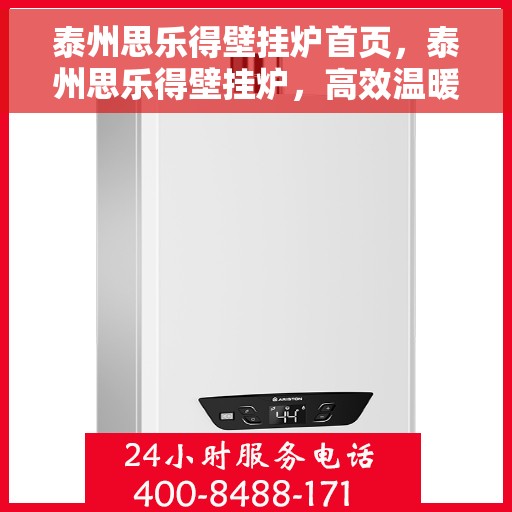 泰州思乐得壁挂炉首页，泰州思乐得壁挂炉，高效温暖，品质之选的首页体验