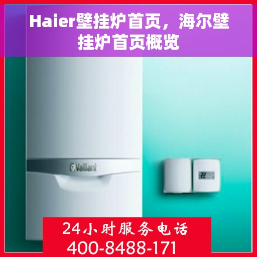 Haier壁挂炉首页，海尔壁挂炉首页概览