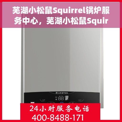 芜湖小松鼠Squirrel锅炉服务中心，芜湖小松鼠Squirrel锅炉专业服务中心