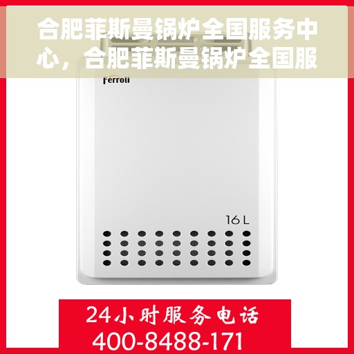 合肥菲斯曼锅炉全国服务中心，合肥菲斯曼锅炉全国服务中心，专业维修与优质服务一体化