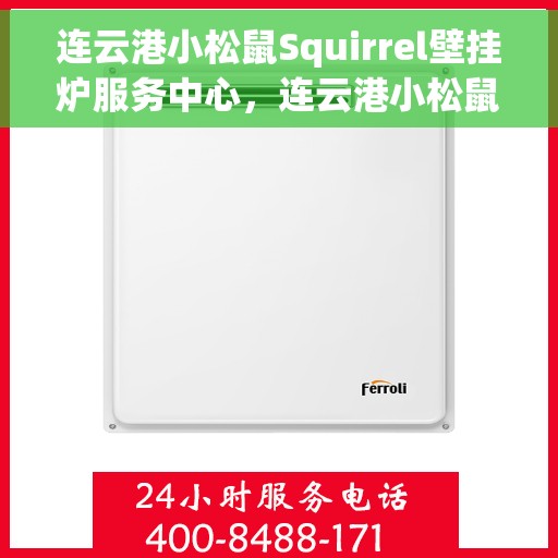 连云港小松鼠Squirrel壁挂炉服务中心，连云港小松鼠Squirrel壁挂炉专业服务中心