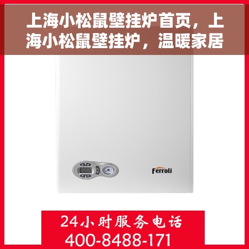 上海小松鼠壁挂炉首页,上海小松鼠壁挂炉,温暖家居的首选之门 上海小松鼠壁挂炉首页,上海小松鼠壁挂炉,温暖家居的首选之门