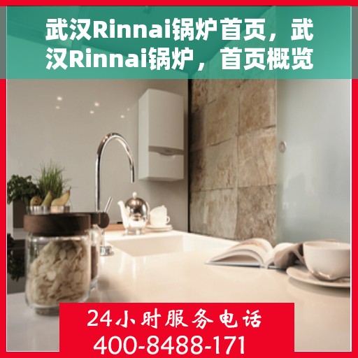 武汉Rinnai锅炉首页，武汉Rinnai锅炉，首页概览