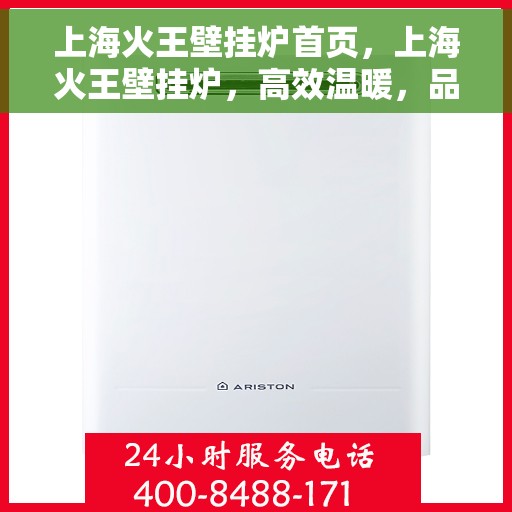 上海火王壁挂炉首页，上海火王壁挂炉，高效温暖，品质之选的首页展示