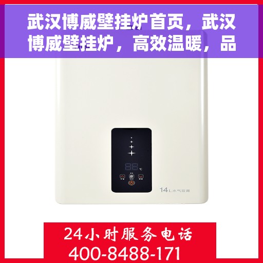武汉博威壁挂炉首页，武汉博威壁挂炉，高效温暖，品质首选的首页展示