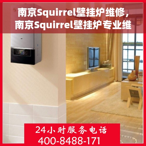 南京Squirrel壁挂炉维修，南京Squirrel壁挂炉专业维修与保养指南