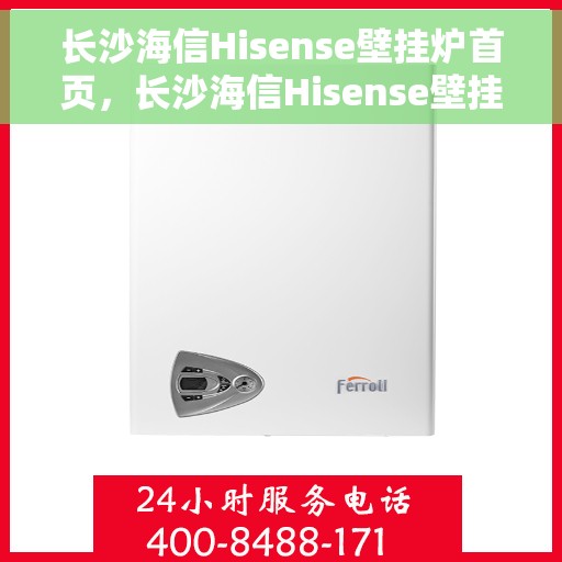 长沙海信Hisense壁挂炉首页，长沙海信Hisense壁挂炉，官方首页全面展示