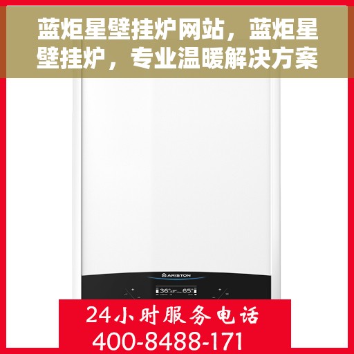 蓝炬星壁挂炉网站，蓝炬星壁挂炉，专业温暖解决方案，品质生活的首选