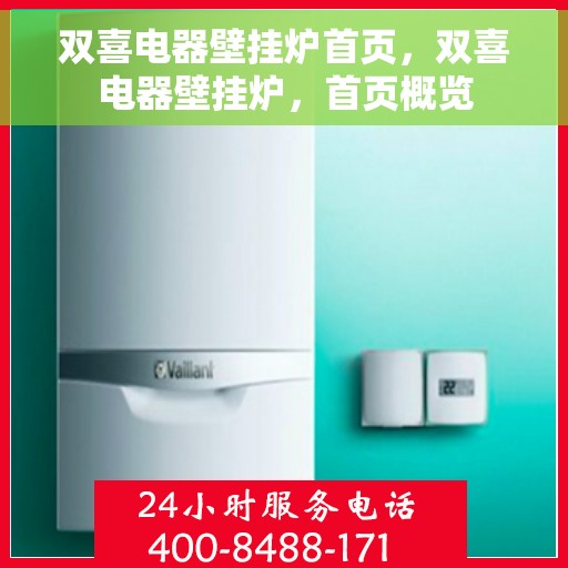 双喜电器壁挂炉首页，双喜电器壁挂炉，首页概览