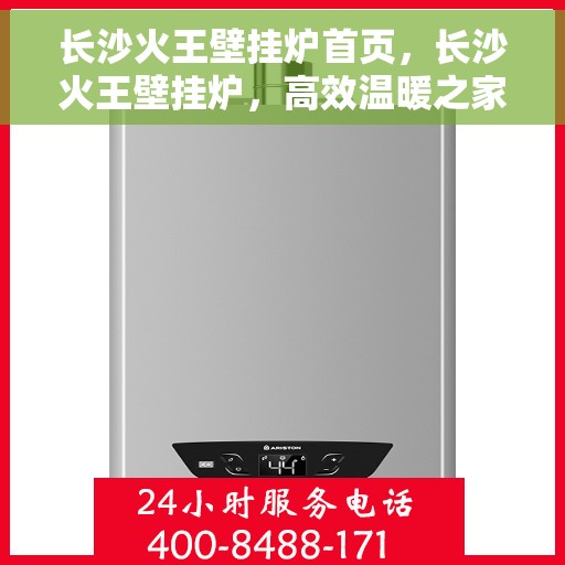 长沙火王壁挂炉首页，长沙火王壁挂炉，高效温暖之家首页介绍