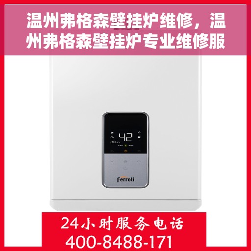 温州弗格森壁挂炉维修，温州弗格森壁挂炉专业维修服务