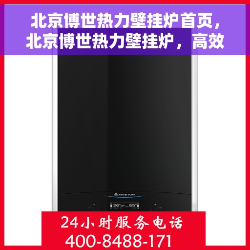 北京博世热力壁挂炉首页，北京博世热力壁挂炉，高效温暖，品质之选的首页展示