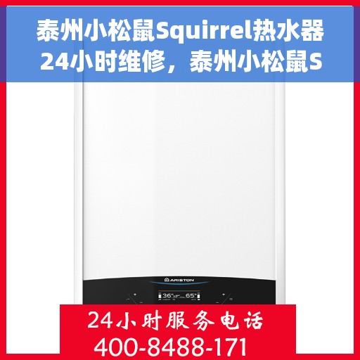 泰州小松鼠Squirrel热水器24小时维修，泰州小松鼠Squirrel热水器全天候专业维修服务