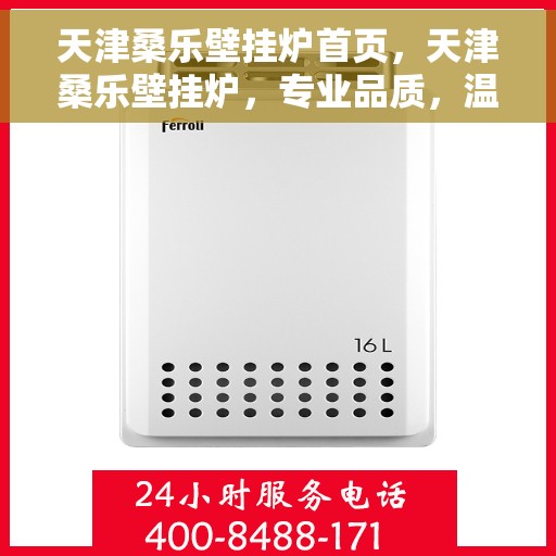 天津桑乐壁挂炉首页，天津桑乐壁挂炉，专业品质，温暖家居首选