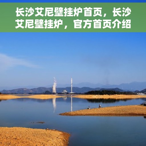 长沙艾尼壁挂炉首页，长沙艾尼壁挂炉，官方首页介绍