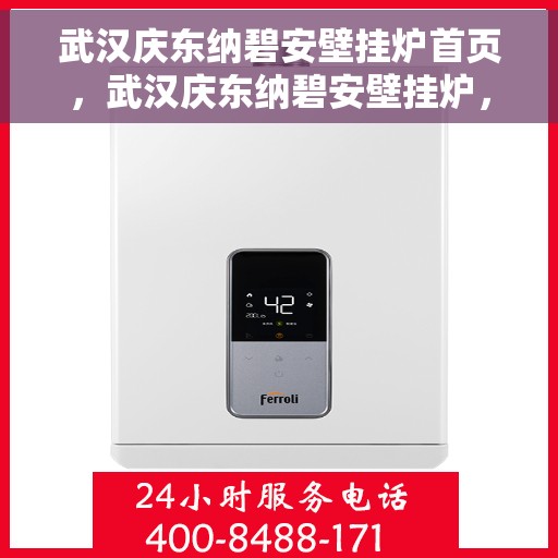 武汉庆东纳碧安壁挂炉首页，武汉庆东纳碧安壁挂炉，高效温暖从此开始