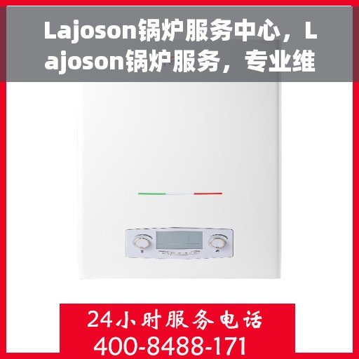 Lajoson锅炉服务中心，Lajoson锅炉服务，专业维护，高效运行的核心力量