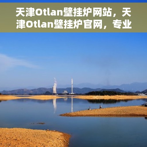 天津Otlan壁挂炉网站，天津Otlan壁挂炉官网，专业品质，温暖千万家庭