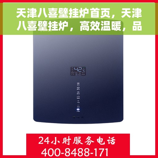 天津八喜壁挂炉首页，天津八喜壁挂炉，高效温暖，品质首页亮相