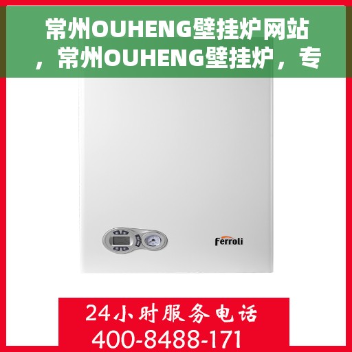 常州OUHENG壁挂炉网站，常州OUHENG壁挂炉，专业品质，温暖您的家