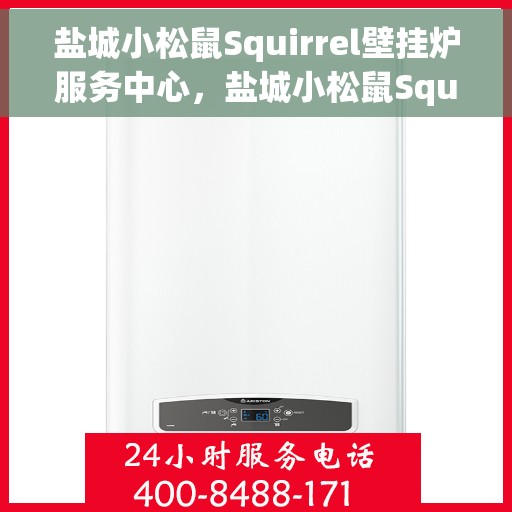 盐城小松鼠Squirrel壁挂炉服务中心，盐城小松鼠Squirrel壁挂炉专业服务中心