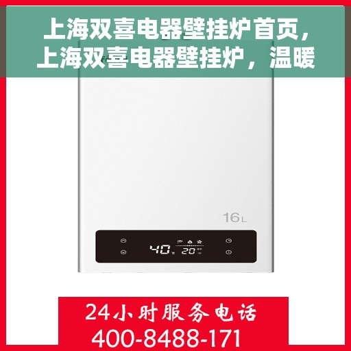 上海双喜电器壁挂炉首页，上海双喜电器壁挂炉，温暖生活的首选之页