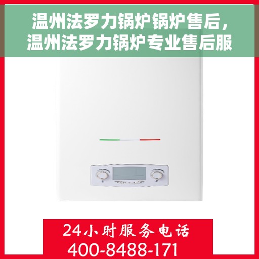 温州法罗力锅炉锅炉售后，温州法罗力锅炉专业售后服务团队，锅炉维护与修理专家