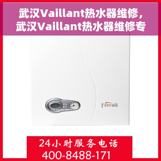 武汉Vaillant热水器维修，武汉Vaillant热水器维修专家，专业解决热水器疑难杂症