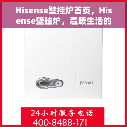 Hisense壁挂炉首页，Hisense壁挂炉，温暖生活的首选之家