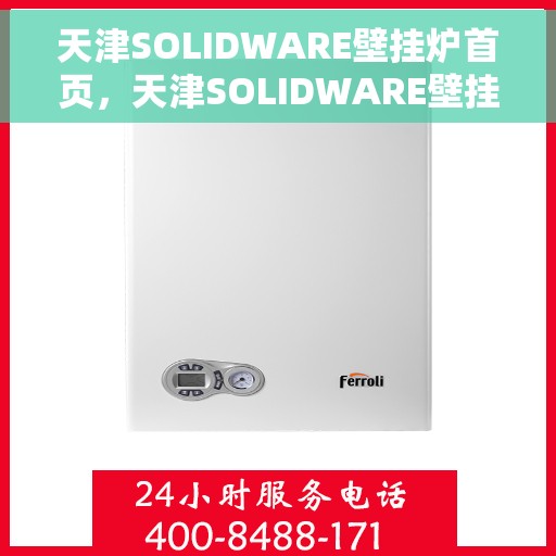 天津SOLIDWARE壁挂炉首页，天津SOLIDWARE壁挂炉，高效温暖，品质之选的首页展示