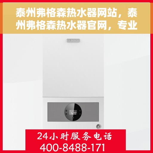 泰州弗格森热水器网站，泰州弗格森热水器官网，专业品质，温暖您的家