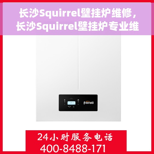 长沙Squirrel壁挂炉维修，长沙Squirrel壁挂炉专业维修服务