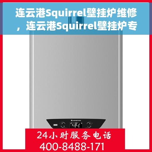 连云港Squirrel壁挂炉维修，连云港Squirrel壁挂炉专业维修服务