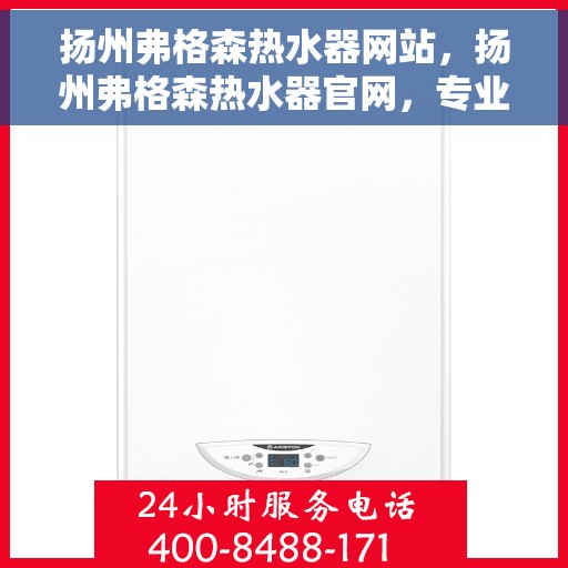 扬州弗格森热水器网站，扬州弗格森热水器官网，专业品质，智能生活的温暖之选